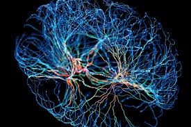 Neuroplasticiteit en spiegeltherapie